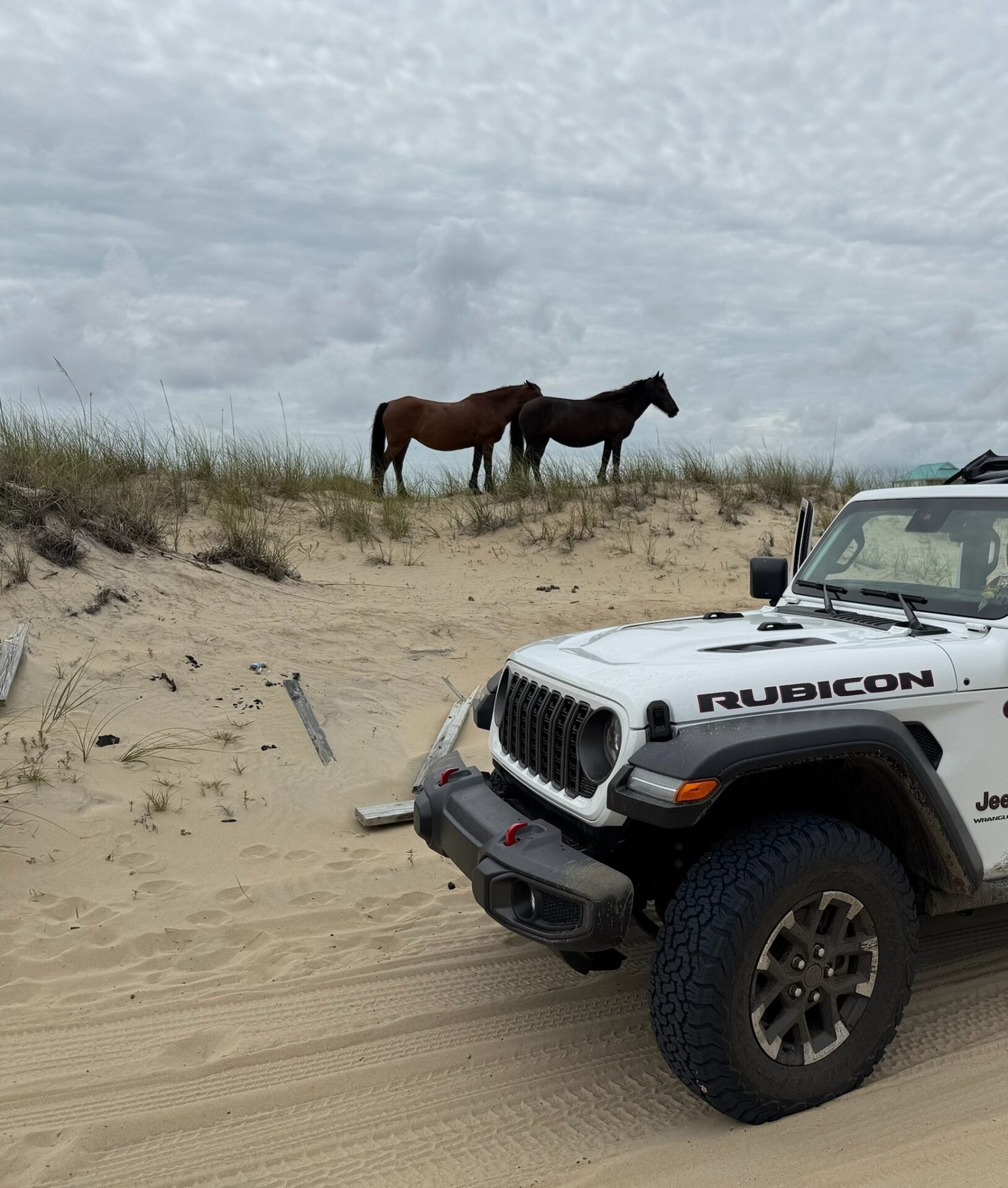 Jeep Wrangler rentals lined up on OBX